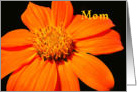 Mother’s Day Card with Colorful Orange Flower card