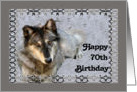 Birthday American Indian Wolf Card for 70th card