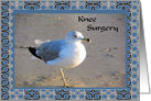 Knee Surgery Seagull on the Beach card