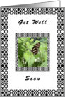 Get Well Soon from Group, Butterfly card