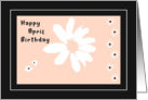 Card with Daisies for April Birthday in Peach, White and Black card