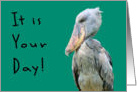 National Grouch Day with Grouchy Bird card