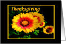 Thanksgiving, Colorful Gold and Red Flowers card