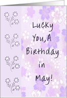 May Birthday card in...