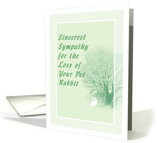 Sympathy Card for Pet Rabbit card (1103868)