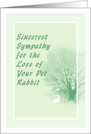 Sympathy Card for Pet Rabbit card