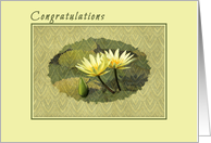 Congratulations on Getting the Promotion card