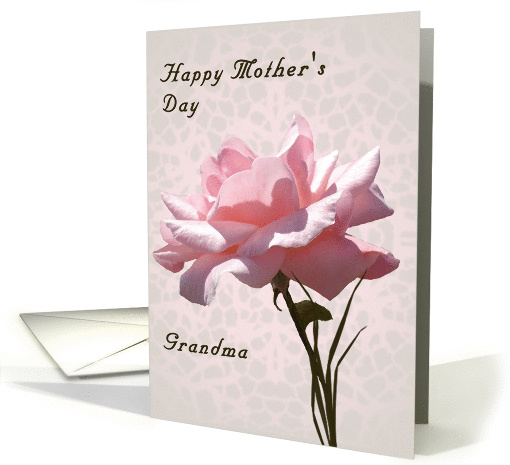 Mother's Day for Grandma with Pink Rose card (1199436)