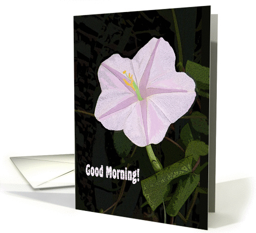 Cheerful Note Card with Morning Glory card (1275352)