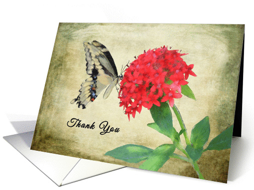 Thank You for Dinner card (1357928)