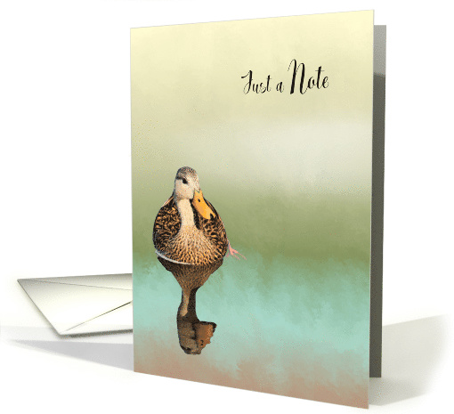 Just a Note Design of a Mottled Duck in Mist card (1466524)