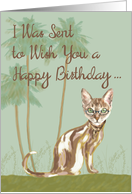 Birthday Humorous with Cat card