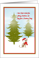 Christmas Card Sent...