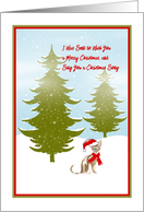 Christmas Card Sent from Cat card