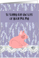 Sympathy for Pet Pig card