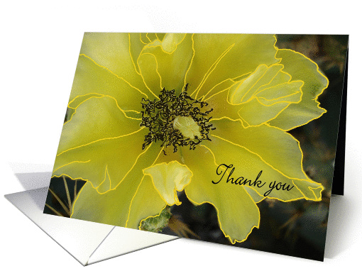 Cactus Flower in Yellow, Thank You for Hospitality card (396746)
