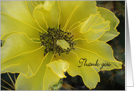 Cactus Flower in Yellow, Thank You for Hospitality card