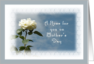 A Rose for You,...