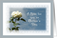 A Rose for You, Mother’s Day Card