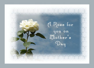 A Rose for You,...