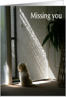 Missing you card with White Lahsa Apsa card