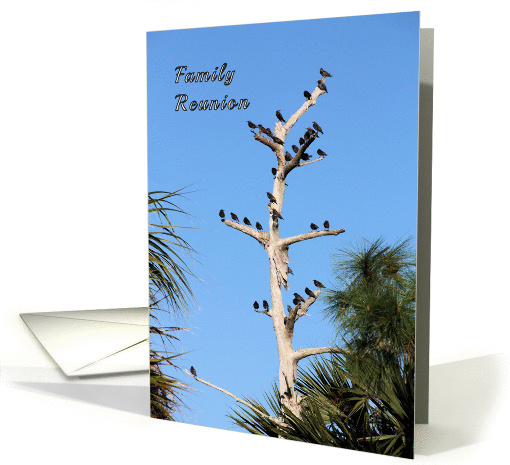 Invitation to Family Reunion with Gathering Birds card (433446)