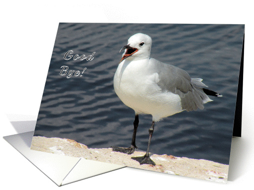 Good bye journey Laughing Gull card (433451)