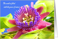 Engagement Congratulations, Passionflower card