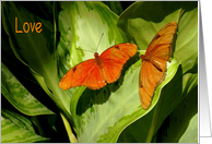 Relationships, Love, Julia Butterflies card