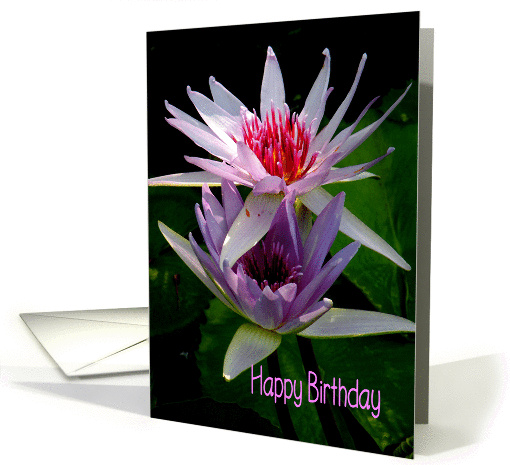 Happy Birthday, Aunt, Two Lavender Water Lilies card (491711)