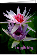 Happy Birthday, Sister, Two Lavender Water Lilies card