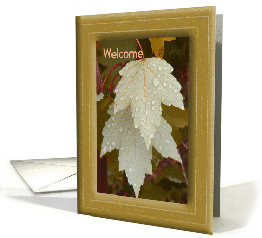 Welcome Home from Boot Camp, Beige Leaves & Water Droplets card