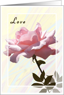 Valentine, Rose Soft Pink, for the one you Love card