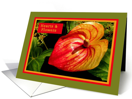 Valentine Antherium, Heart Shaped card (523983)