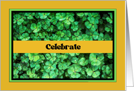 St. Patrick’s Day, Clover Plants card