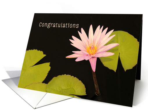 Congratulations, New Job, Pink Water Lily card (537271)