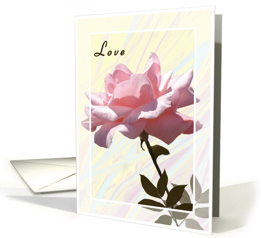 Valentine Pink Open Rose card (544417)