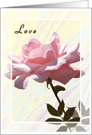 Valentine Pink Open Rose card