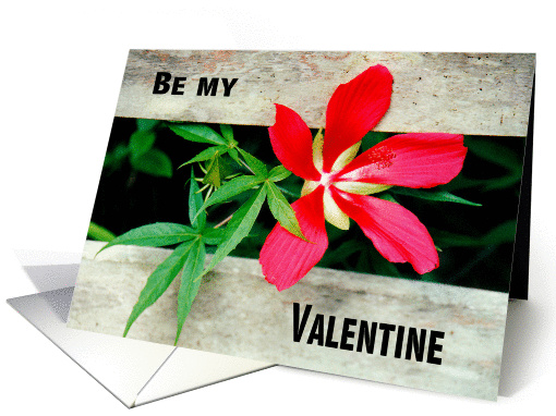 Valentine Wild Hibiscus in Red for a Person you Love card (544419)