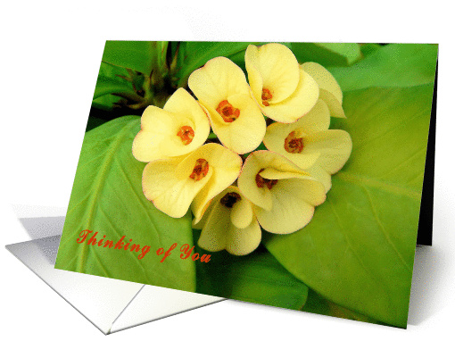 Thinking of you, while in Surgery, Golden Crown of Thorns card