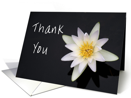 Thank You, for Bridesmaid's Gift, White Water Lily card (545082)