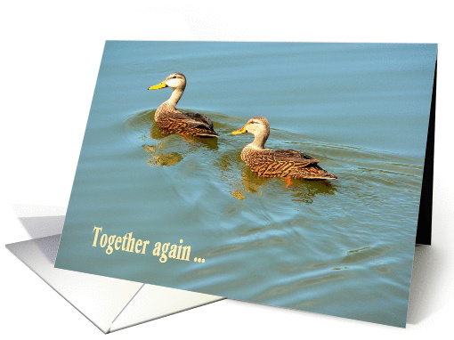 Reconciliation of Divorce, Announcement with Two Mottled Ducks card