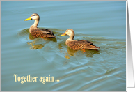 Reconciliation of Divorce, Announcement with Two Mottled Ducks card