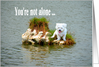 Friendship, White Dog Stranded on Small Island card