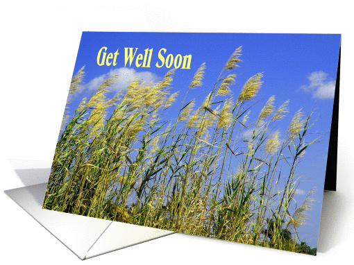Get Well Soon, Nasty Bug, Nature Grasses card (595709)