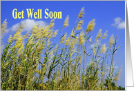 Get Well Soon, Nasty Bug, Nature Grasses card