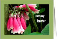 Teacher Appreciation Day, History, Pink Orchids card