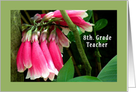 Teacher Appreciation Day, 8th Grade, Pink Orchids card