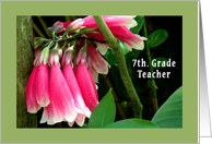 Teacher Appreciation Day, 7th Grade, Pink Orchids card