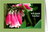 Teacher Appreciation Day, 4th Grade, Pink Orchids card